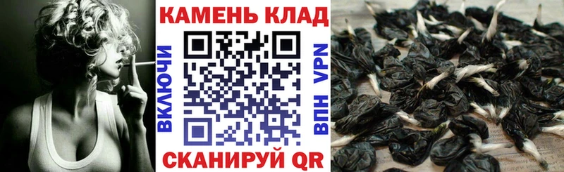 мега   Киров  Гашиш hashish 