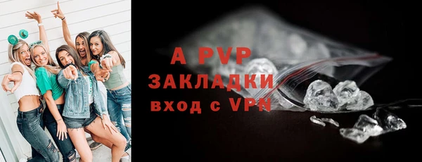 спиды Михайлов