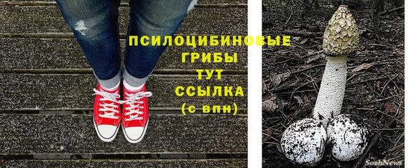 спиды Михайлов