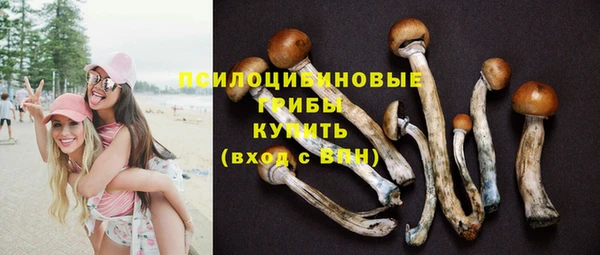 MESCALINE Михайловск