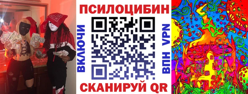 наркотики  Киров  Псилоцибиновые грибы Cubensis 