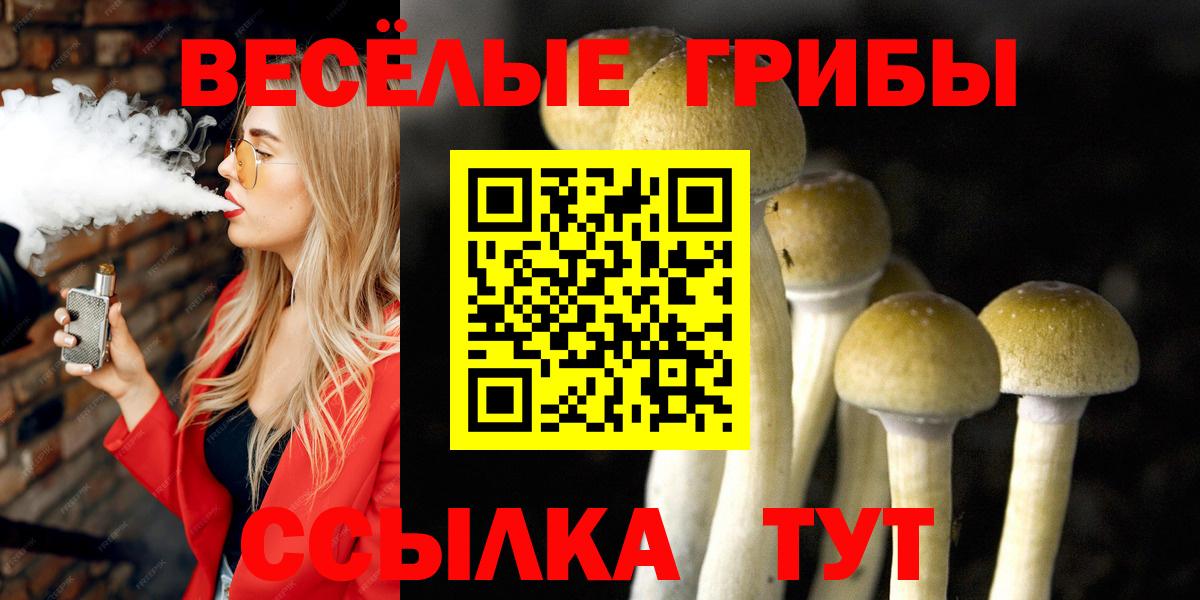 Галлюциногенные грибы прущие грибы Киров