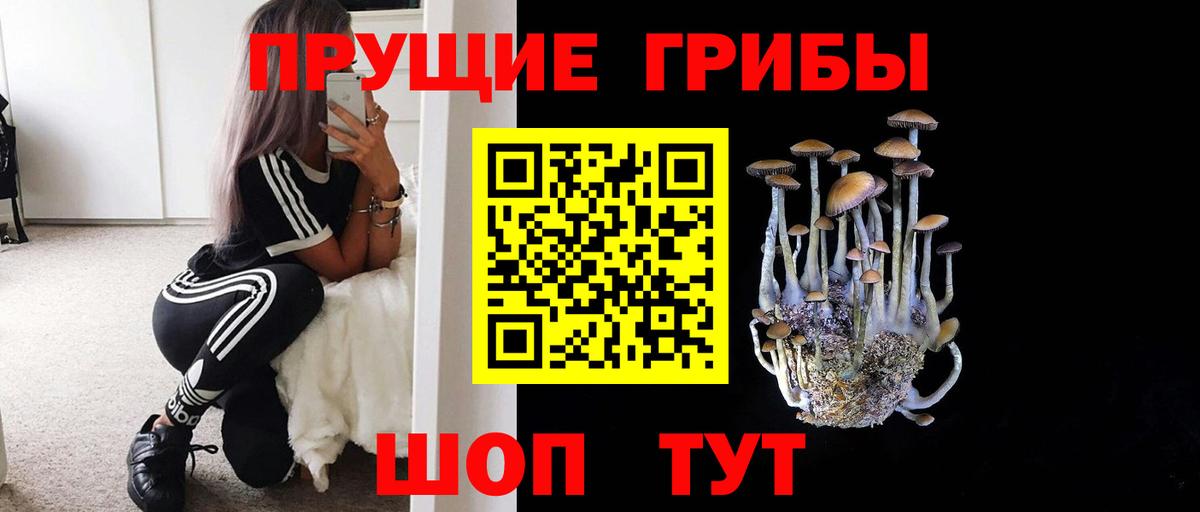 где можно купить наркотик  Псилоцибиновые грибы прущие грибы  Вход с VPN  Киров 